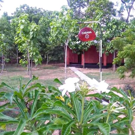 Hotel Lavish Eco Jungle Tissamaharama Exteriér fotografie