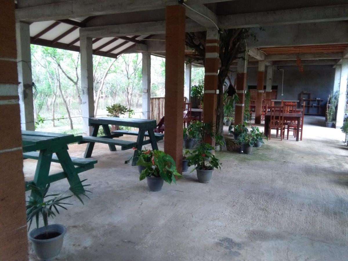 Hotel Lavish Eco Jungle Tissamaharama Exteriér fotografie