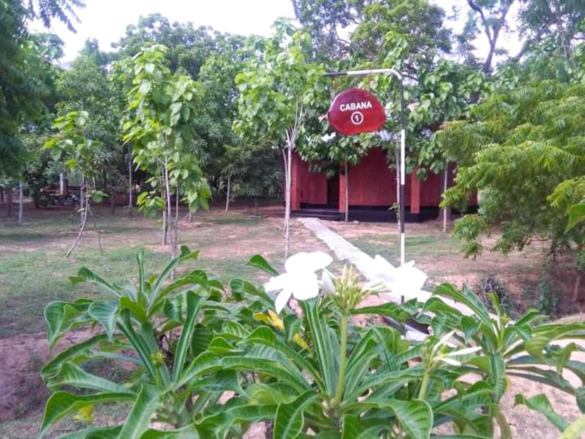 Hotel Lavish Eco Jungle Tissamaharama Exteriér fotografie