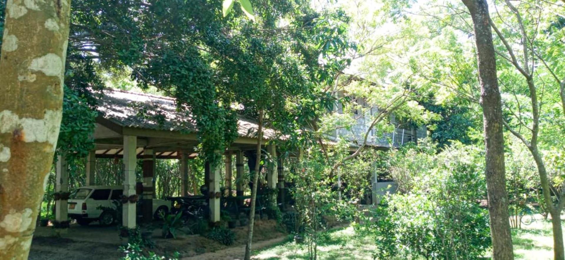 Hotel Lavish Eco Jungle Tissamaharama Exteriér fotografie