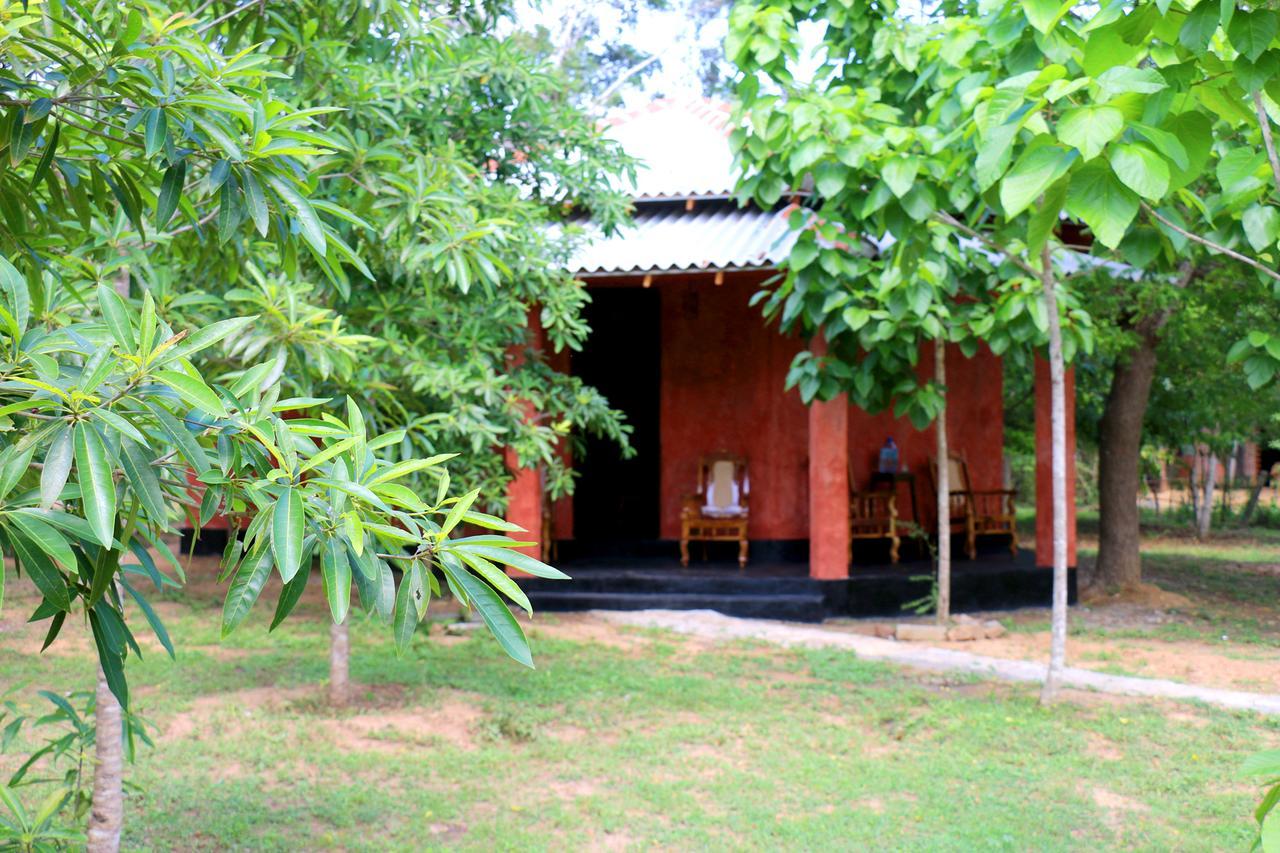 Hotel Lavish Eco Jungle Tissamaharama Exteriér fotografie