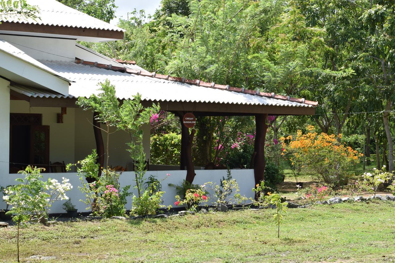 Hotel Lavish Eco Jungle Tissamaharama Exteriér fotografie