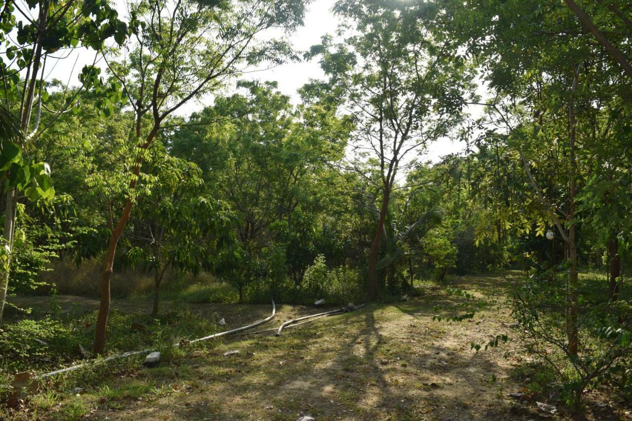 Hotel Lavish Eco Jungle Tissamaharama Exteriér fotografie