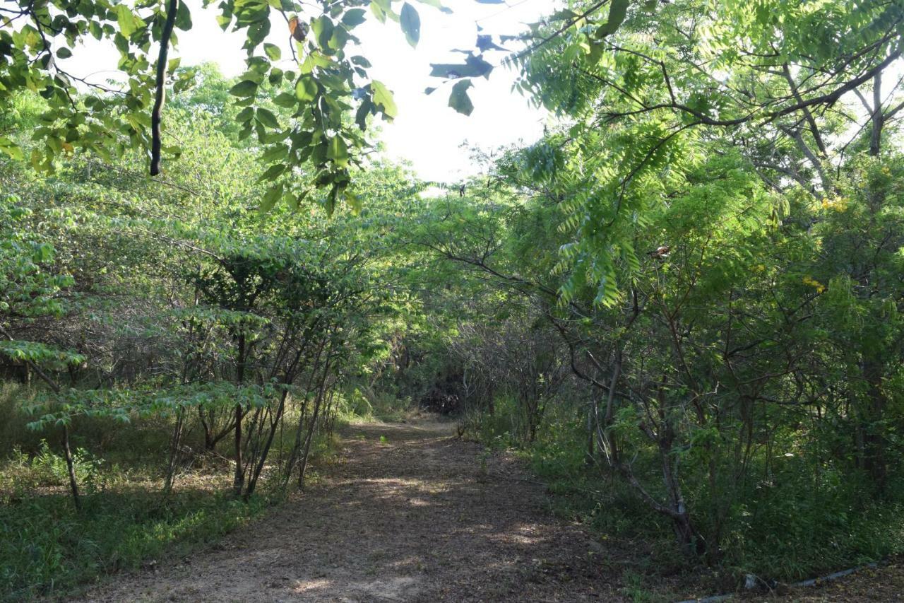 Hotel Lavish Eco Jungle Tissamaharama Exteriér fotografie