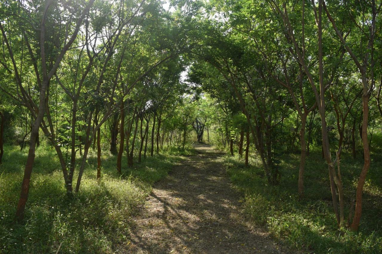 Hotel Lavish Eco Jungle Tissamaharama Exteriér fotografie